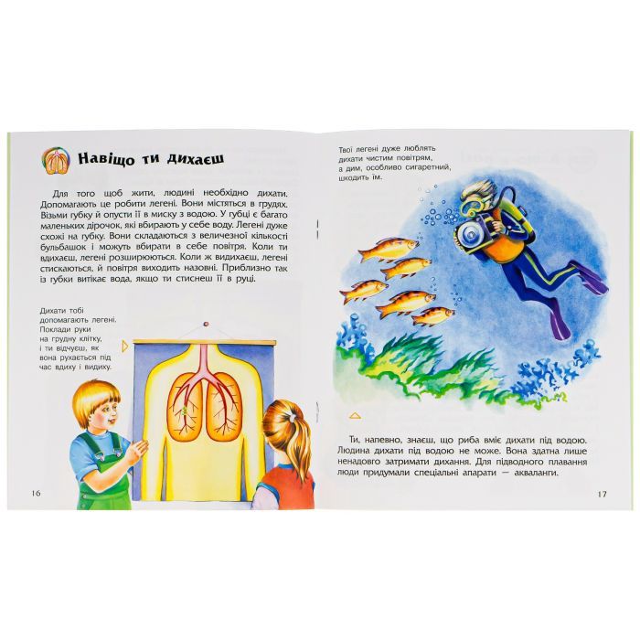 Книга Людина. Енциклопедія дошкільника - Ю.В. Каспарова Ранок (9786170928351) изображение 6