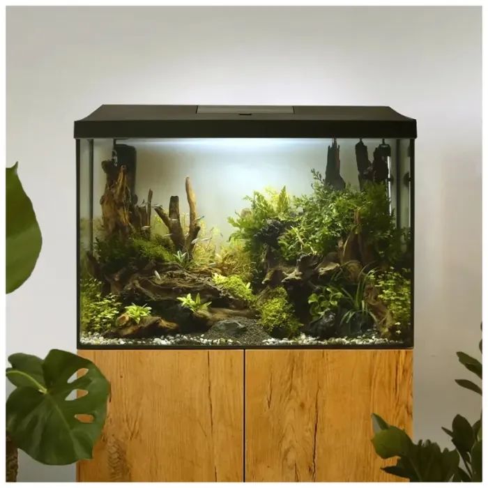 Аквариум AquaEl Leddy 40 XL D&N 2.0 черный 35 л (5905546331203) изображение 3