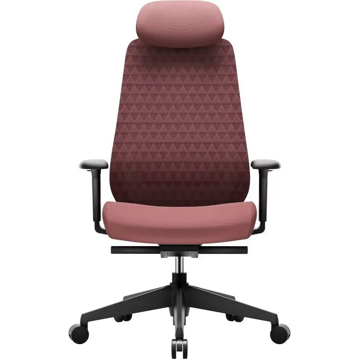 Офісне крісло OfficePro Omnis, OC640R (OC640R)