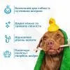 Шампунь для тварин Espree Simple Shed Dog 2in1 591 мл (0748406003989) зображення 5