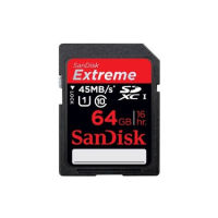 Карта памяти SanDisk 64Gb SDXC eXtreme Class 10 (SDSDX-064G-X46)