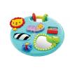 Развивающая игрушка Fisher-Price Играем и исследуем (CMY39)