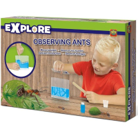 Игровой набор Ses для юного зоолога - МУРАВЬИНАЯ ФЕРМА от 7 до 12 лет (25084S)
