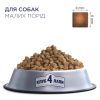 Сухий корм для собак Club 4 Paws Преміум. Для малих порід 2 кг (4820083909535) зображення 2