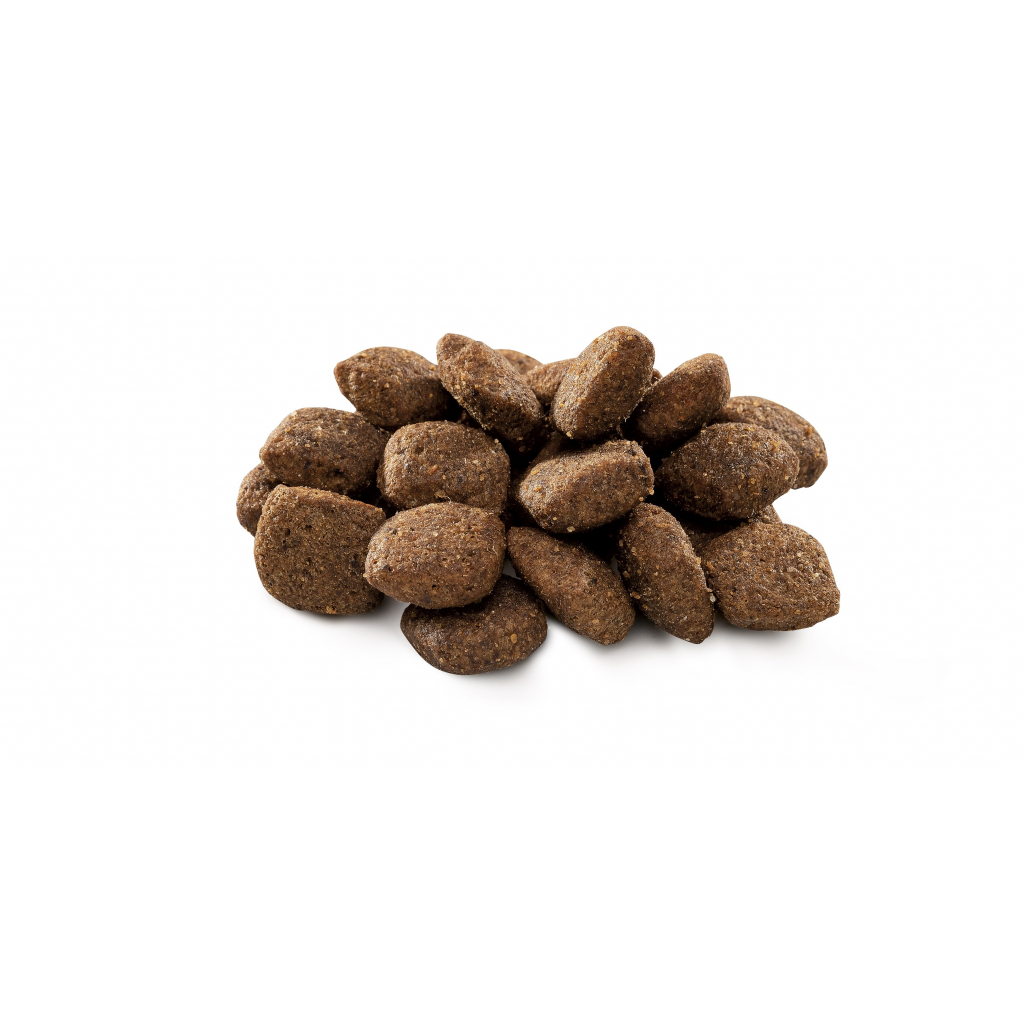 Сухий корм для собак Brit Premium Dog Sensitive Lamb 1 кг (8595602526611) зображення 2