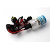 Автолампа WINSO H7 5000K, 85V, 35W PX26d (747500)