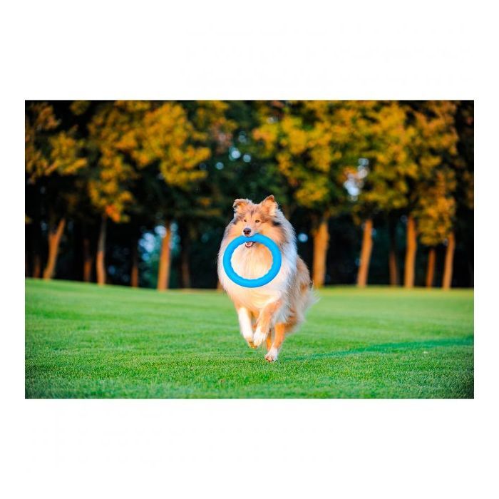 Игрушка для собак Collar PitchDog Кольцо для апортировки 17 см голубое (62362) изображение 8
