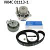 Комплект ремня ГРМ с помпой SKF VKMC 01113-1