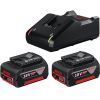 Набор аккумулятор + зарядное устройство Bosch 2xGBA 18Вх4.0Ah + GAL 18V-40 (1.600.A01.9S0)