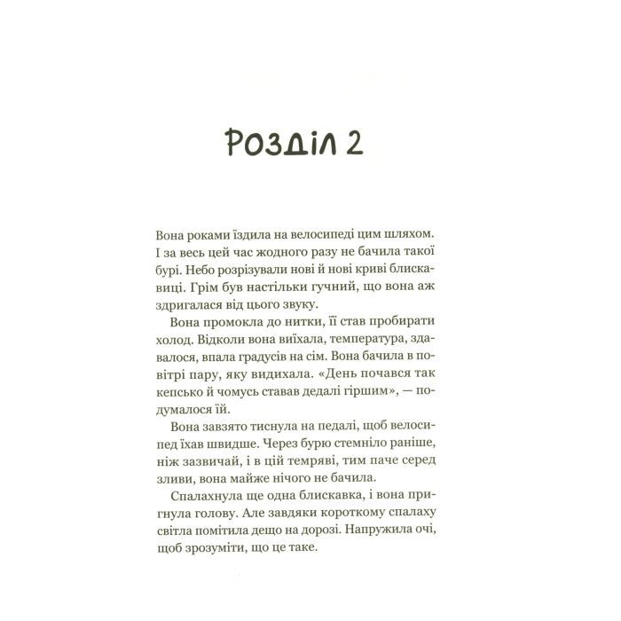 Книга Третій візит до кафе на краю світу - Джон П. Стрелекі Vivat (9789669823908) изображение 6