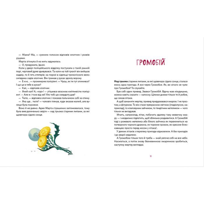 Книга День народження Привида - Сашко Дерманський Видавництво Старого Лева (9789664481059) зображення 5