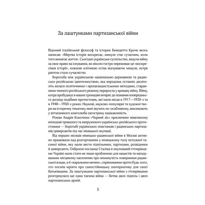 Книга Чорний ліс - Андрій Кокотюха КСД (9786171260474) зображення 3