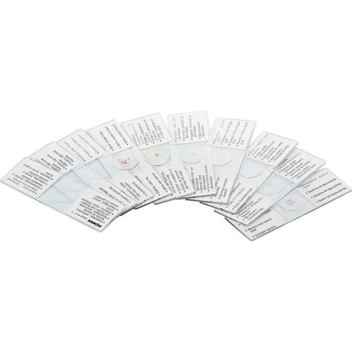 Набір мікропрепаратів Konus Біологія Життя в ґрунті 10 шт (4950) зображення 3