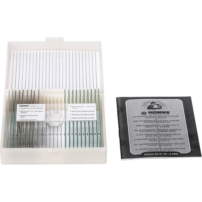 Набір мікропрепаратів Konus Біологія Життя в ґрунті 10 шт (4950) зображення 4