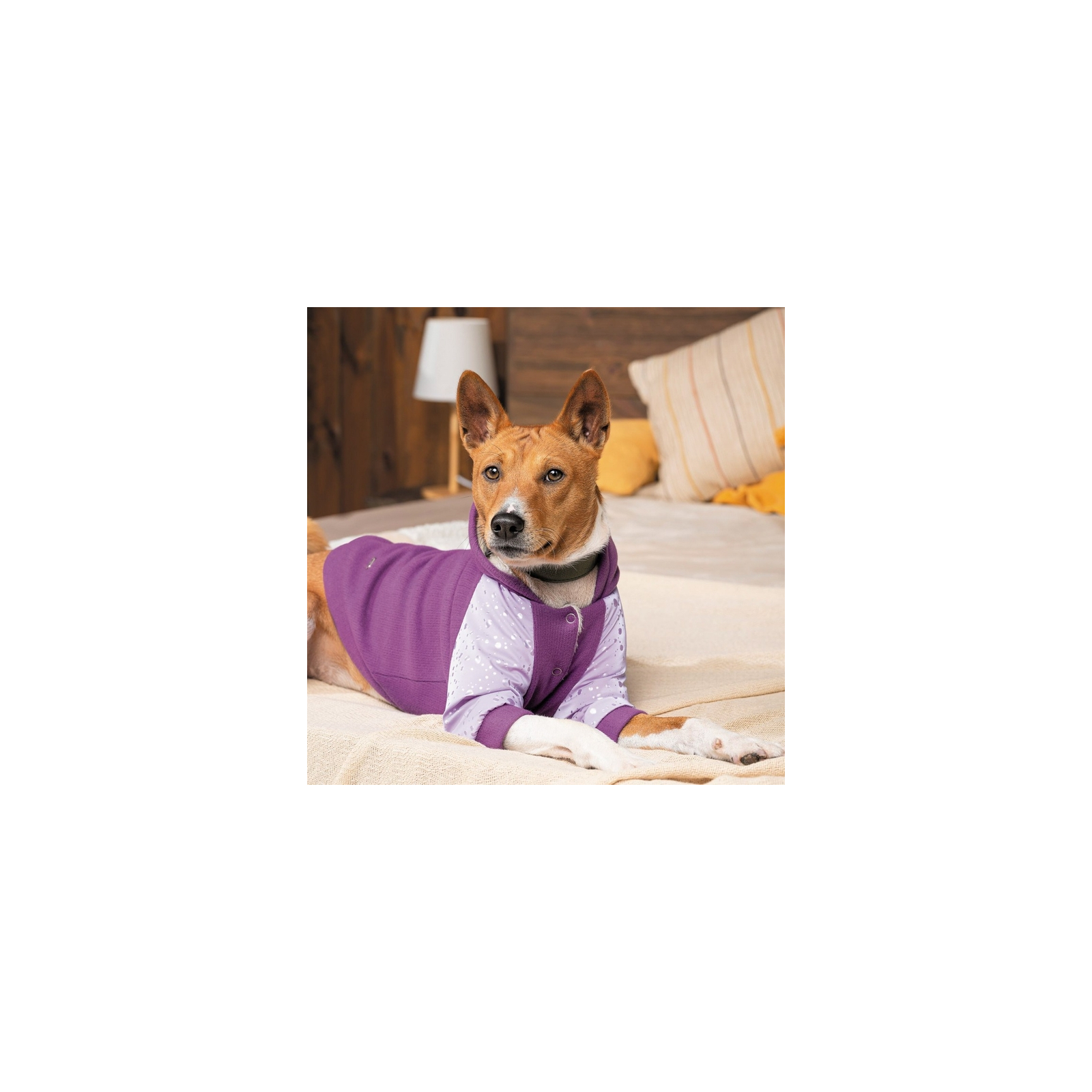 Толстовка для животных Pet Fashion Lilac M сиреневая (4823082427741) изображение 5