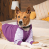 Толстовка для животных Pet Fashion Lilac M сиреневая (4823082427741) изображение 5