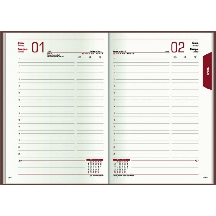 Тижневик Economix датований 2024 Spectrum, жовтий А5 (E21850) зображення 5