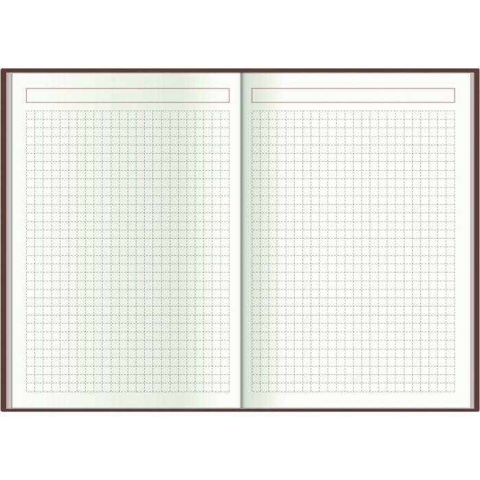 Тижневик Economix датований 2024 Spectrum, жовтий А5 (E21850) зображення 6