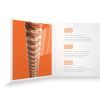 Струны для гитары D'Addario XS Phosphor Bronze Extra Light (10-47) (XSAPB1047) изображение 4
