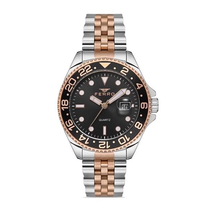 Наручные часы Ferro F11196A-E2