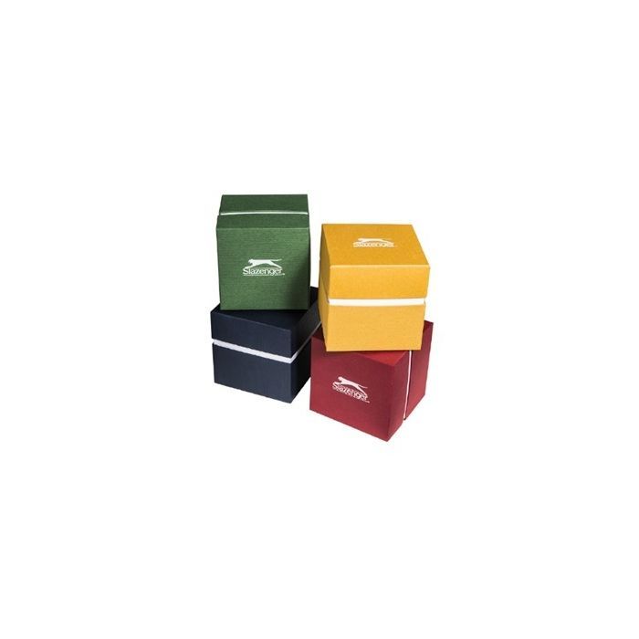 Наручные часы Slazenger SL.09.6208.2.02 изображение 2
