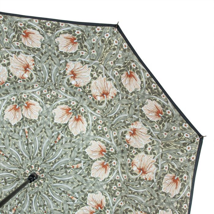 Парасоля Fulton L856-041321 Morris & Co. Bloomsbury Strawberry Thief Indian Red (L856-041321) зображення 9