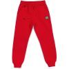 Штаны детские Cloise флисовые (CL0155019-128-red)