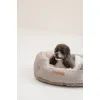 Лежак для тварин Pet Fashion BRIG 58х48х20 см кавовий (4823082441488) зображення 5