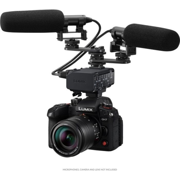 Аксессуар для фото- видеокамер Panasonic Microphone adapter for GH7 (DMW-XLR2E) изображение 3