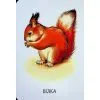 Книга 22 картинки. Улюблені тварини Ранок (9786178773816) зображення 4