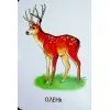 Книга 22 картинки. Улюблені тварини Ранок (9786178773816) зображення 6