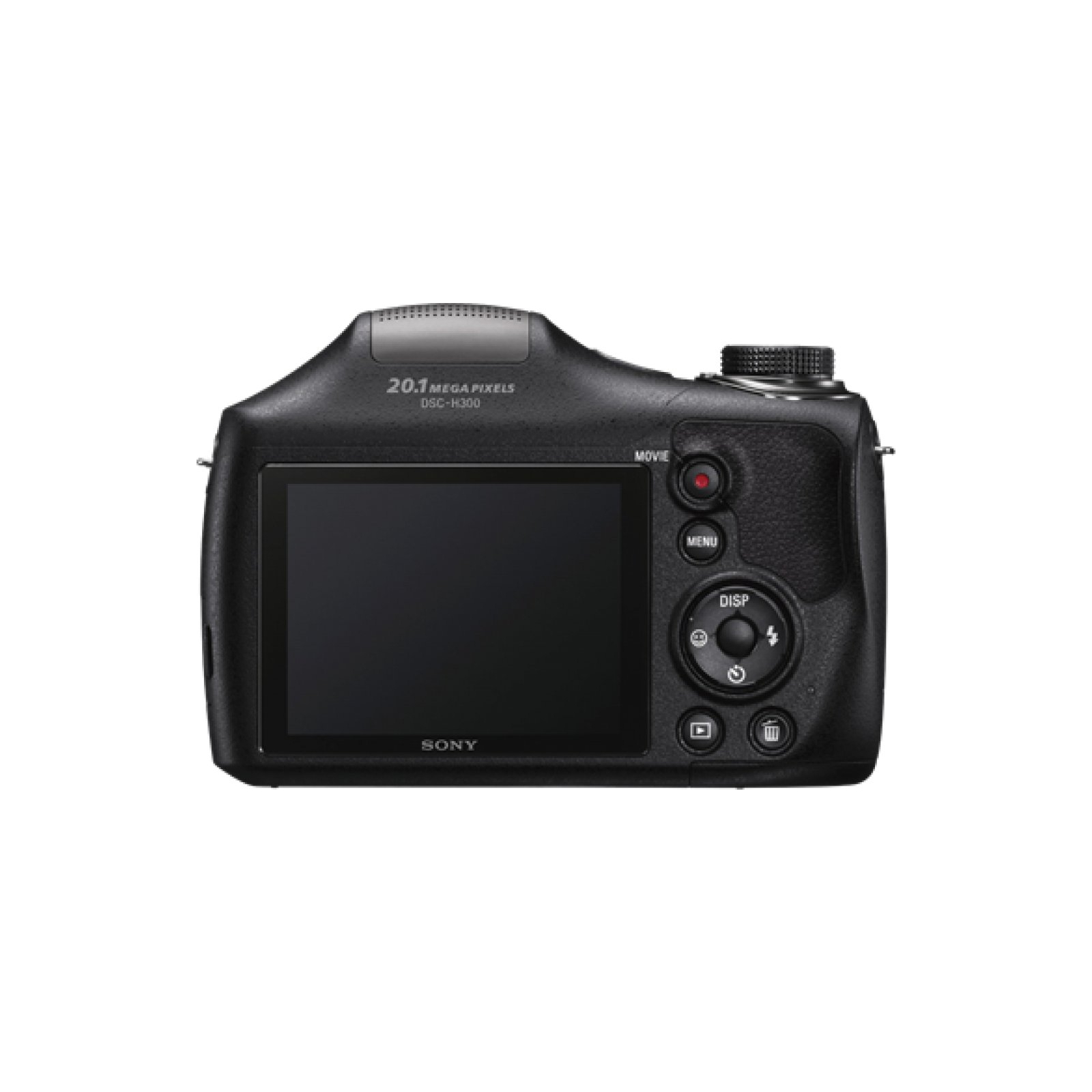 Цифровий фотоапарат Sony Cyber-shot DSC-H300 (DSCH300.RU3) зображення 4