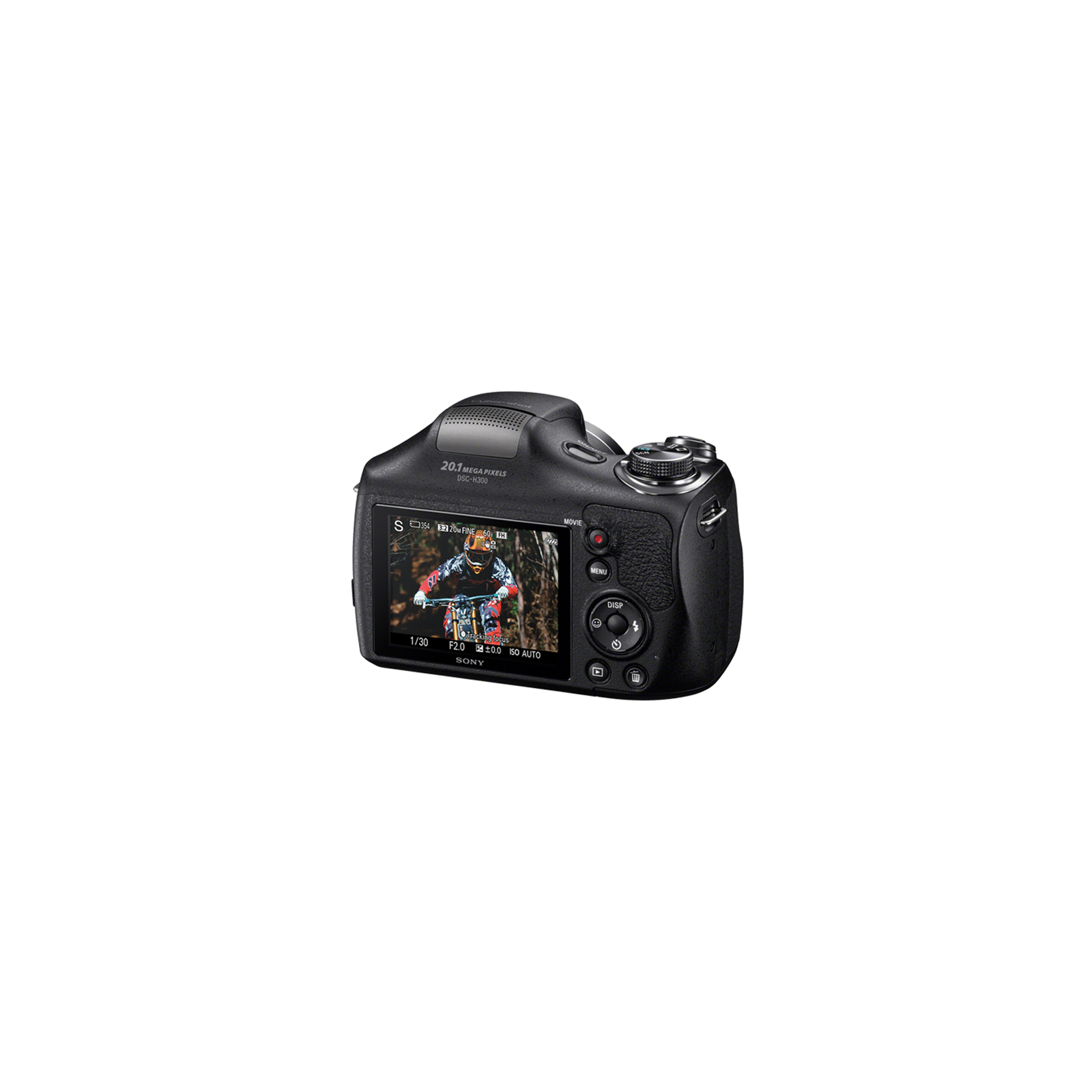 Цифровий фотоапарат Sony Cyber-shot DSC-H300 (DSCH300.RU3) зображення 5