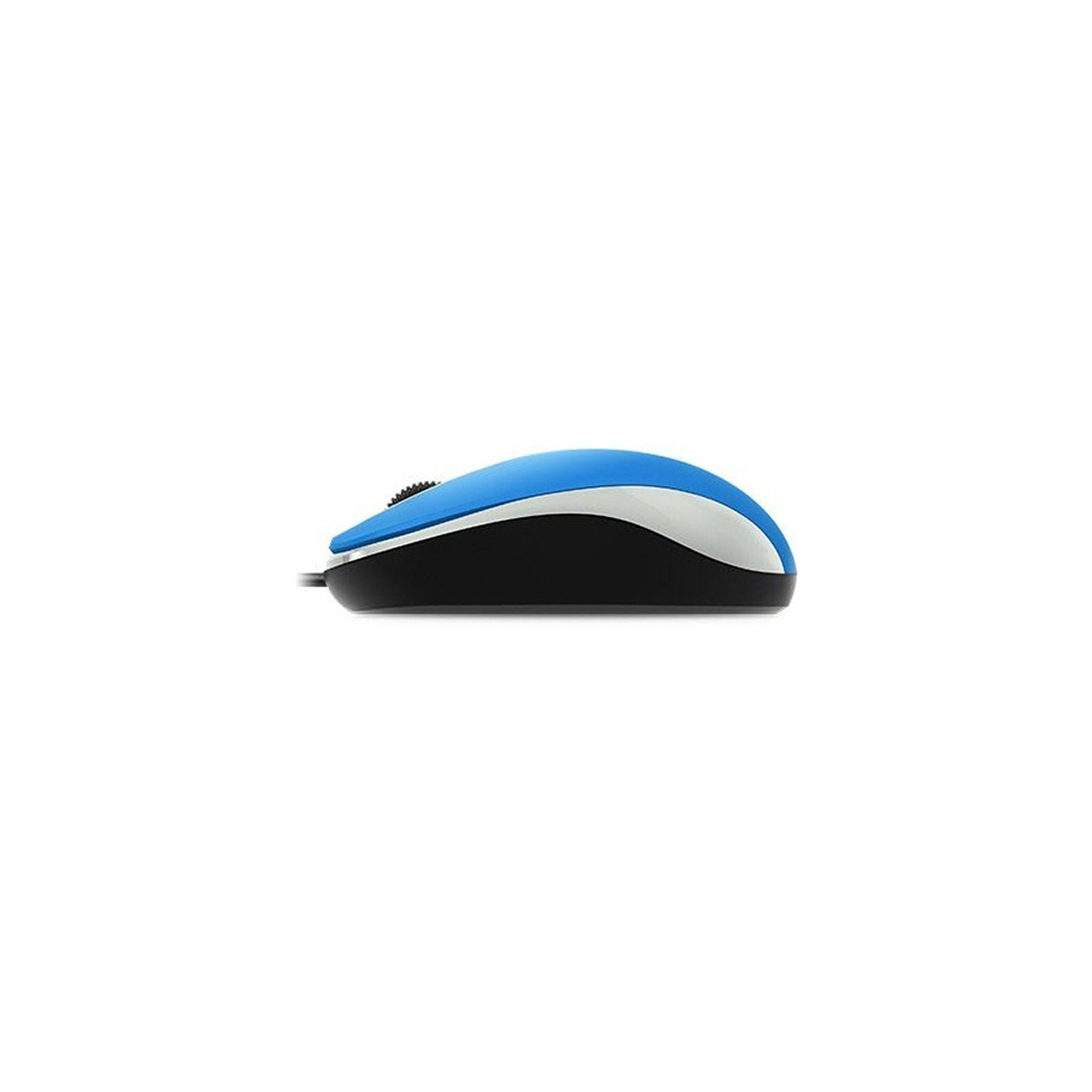 Мышка Genius DX-110 USB Blue (31010116103) изображение 3