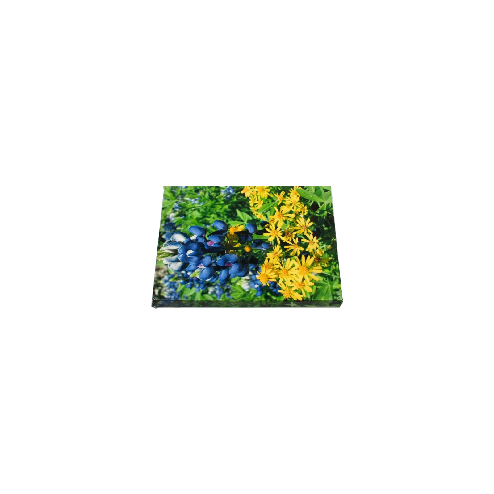 Фотокомплект Mini Color Canvas Frame 216х279мм (1107031) зображення 3