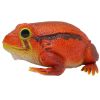 Фігурка Lanka Novelties Жаба-помідор 27 см (21484) зображення 2