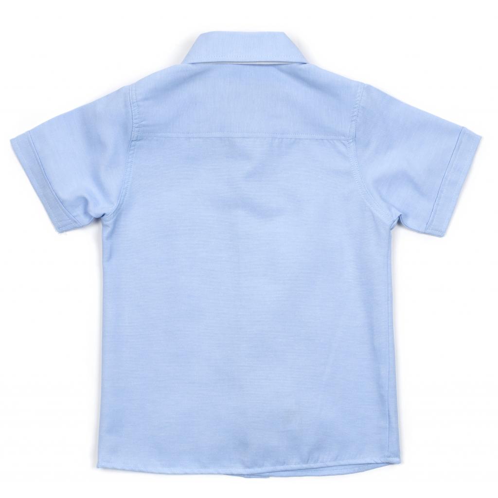 Сорочка Breeze з коротким рукавом (G-368-104B-blue) зображення 2