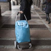 Сумка-тележка Gimi Galaxy 50 л Azure (928416) изображение 4