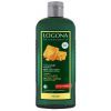 Шампунь Logona Мед и Пиво для объема волос 250 мл (4017645036888)