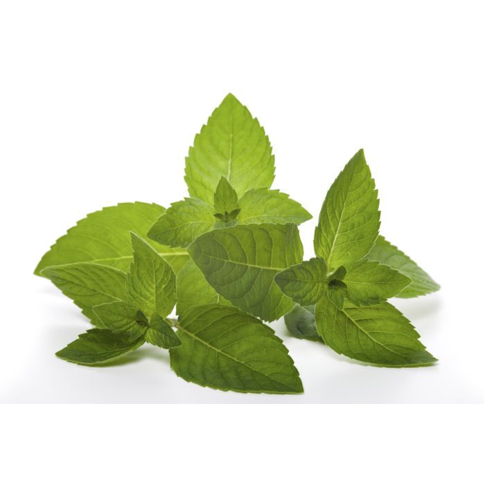 Бальзам для тела Dr. Wild Dolofresh с натуральными эфирными маслами 10 мл (7611841129008) изображение 4