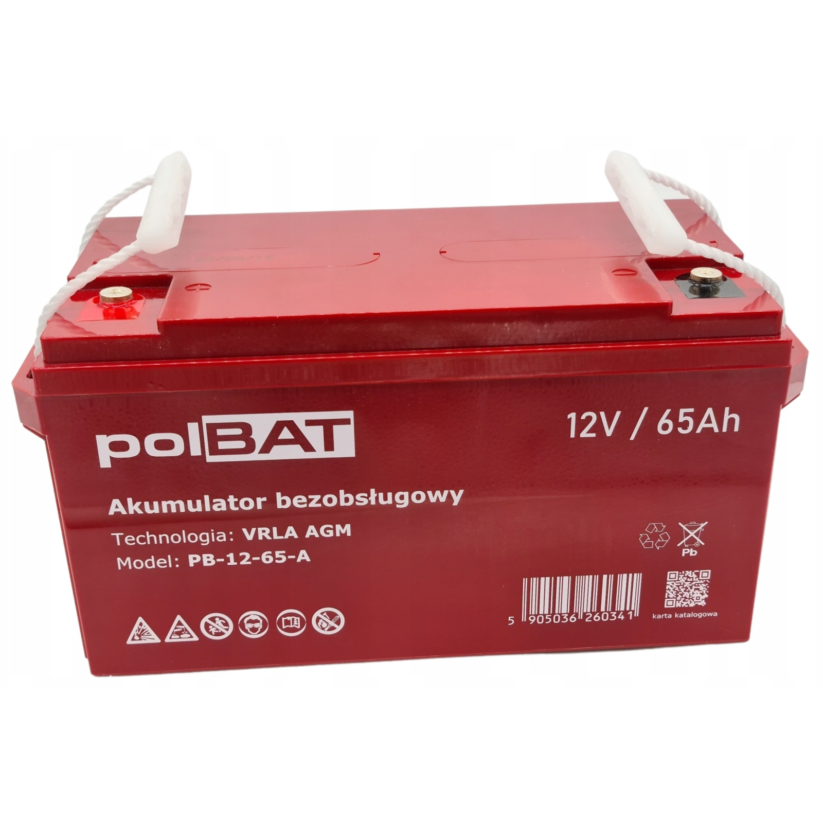 Батарея до ДБЖ polBAT AGM 12V-65Ah (PB-12-65-A) зображення 2