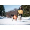 Іграшка для собак Collar PitchDog Кільце для апортування 17 см помаранчеве (62364) зображення 5