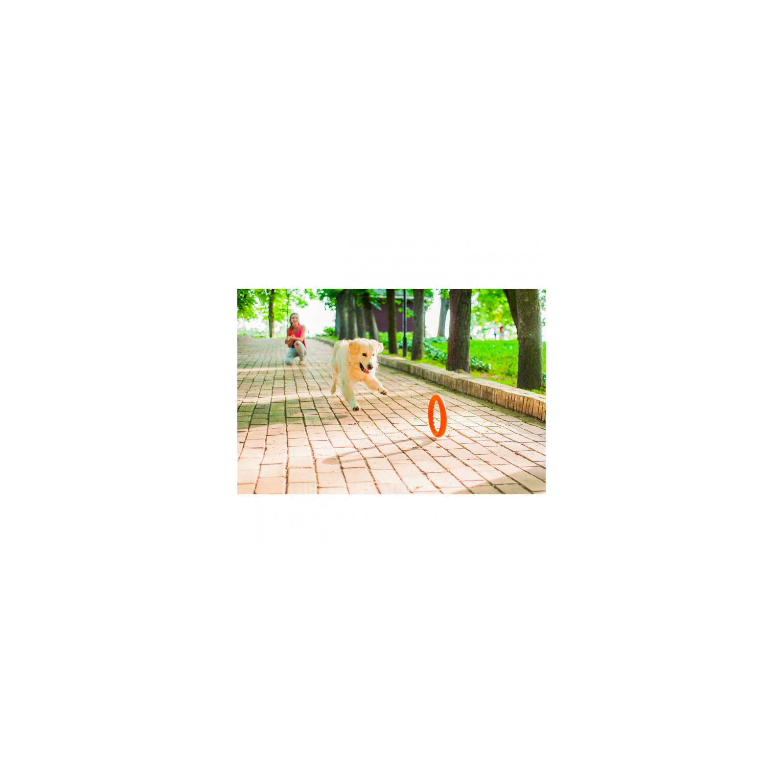 Игрушка для собак Collar PitchDog Кольцо для апортировки 17 см оранжевое (62364) изображение 6