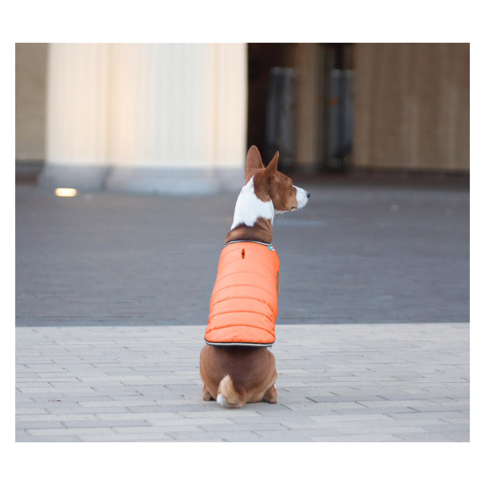 Курточка для животных Airy Vest S оранжевая (15424) изображение 6