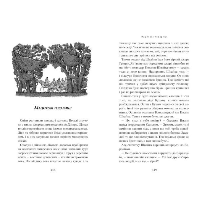 Книга Джури козака Швайки - Володимир Рутківський А-ба-ба-га-ла-ма-га (9789667047986) зображення 5
