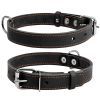 Нашийник для тварин Collar одинарний Ш 25 мм Д 38-50 см чорний (02191)