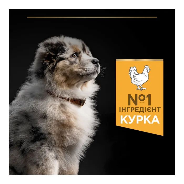 Сухой корм для собак Purina Pro Plan Dog Medium Puppy с высоким содержанием курицы 12 кг (7613035120402) изображение 6
