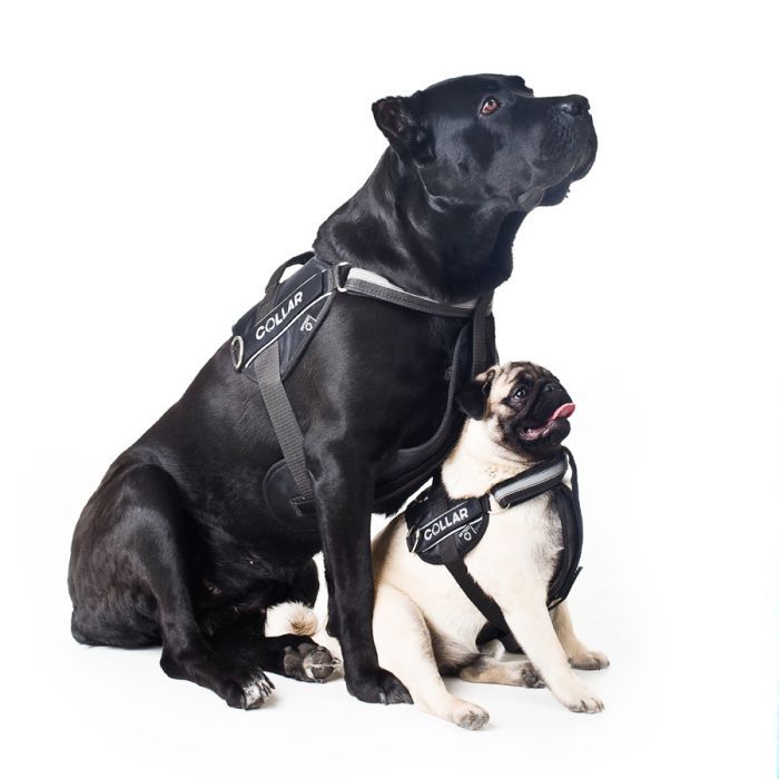 Шлей для собак Dog Extreme Police N2 40-60 см черная (07051) изображение 4