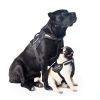 Шлей для собак Dog Extreme Police N2 40-60 см черная (07051) изображение 4