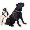 Шлей для собак Dog Extreme Police N2 40-60 см черная (07051) изображение 5